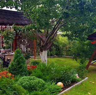 营地 Casa Alex
