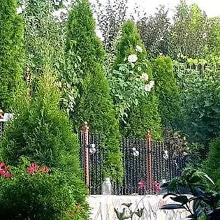 Casa Alex 营地 *