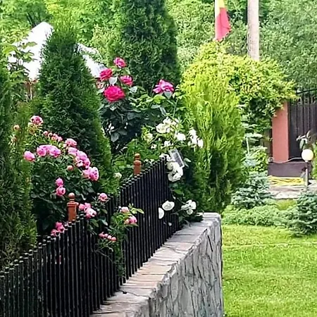 Casa Alex *