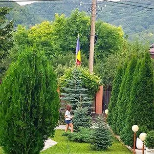 营地 Casa Alex *