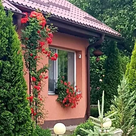 Casa Alex * 萨拉他蒙蒂鲁