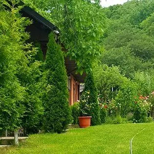Casa Alex 营地 *