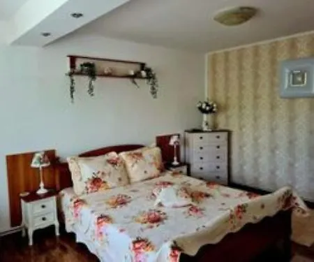 Casa Alex * 萨拉他蒙蒂鲁